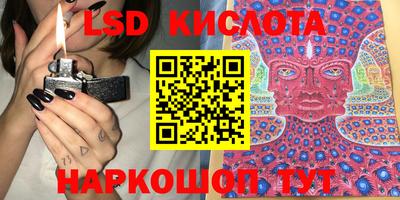 крисы Новокубанск