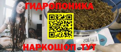 сатива Нальчик