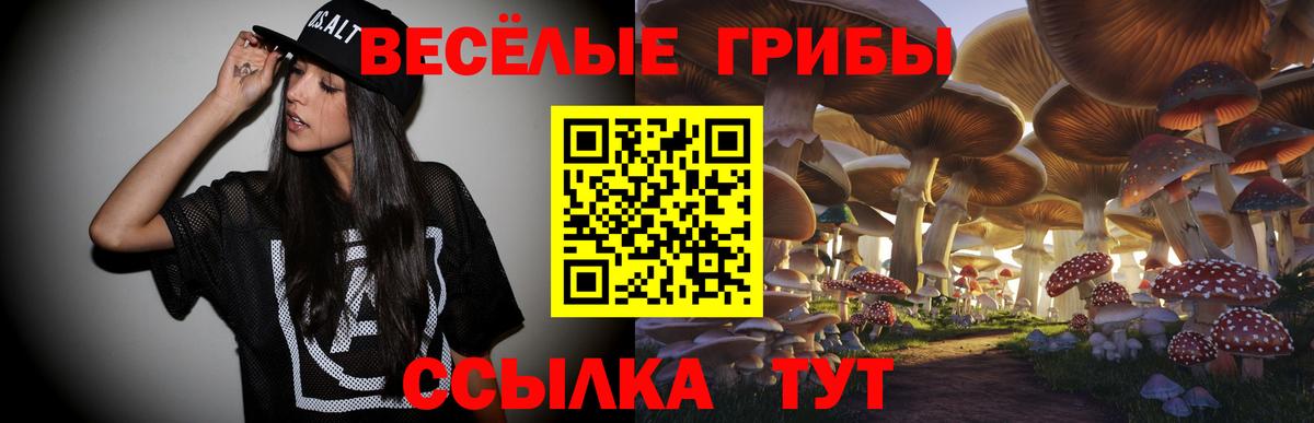 Галлюциногенные грибы Psilocybine cubensis  Псилоцибиновые грибы MAGIC MUSHROOMS  Вход с VPN  Черняховск 
